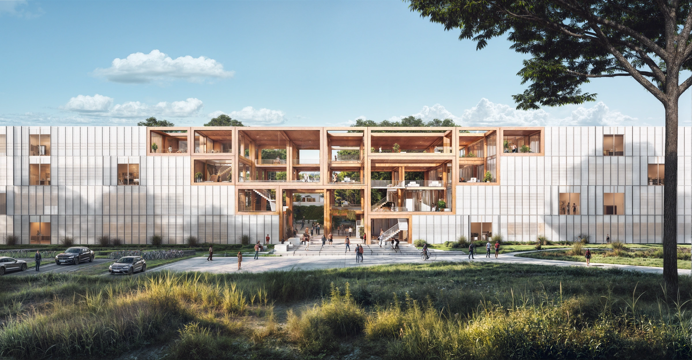 University entrance framed by repetitive timber bays, social terraces and translucent facade panels.