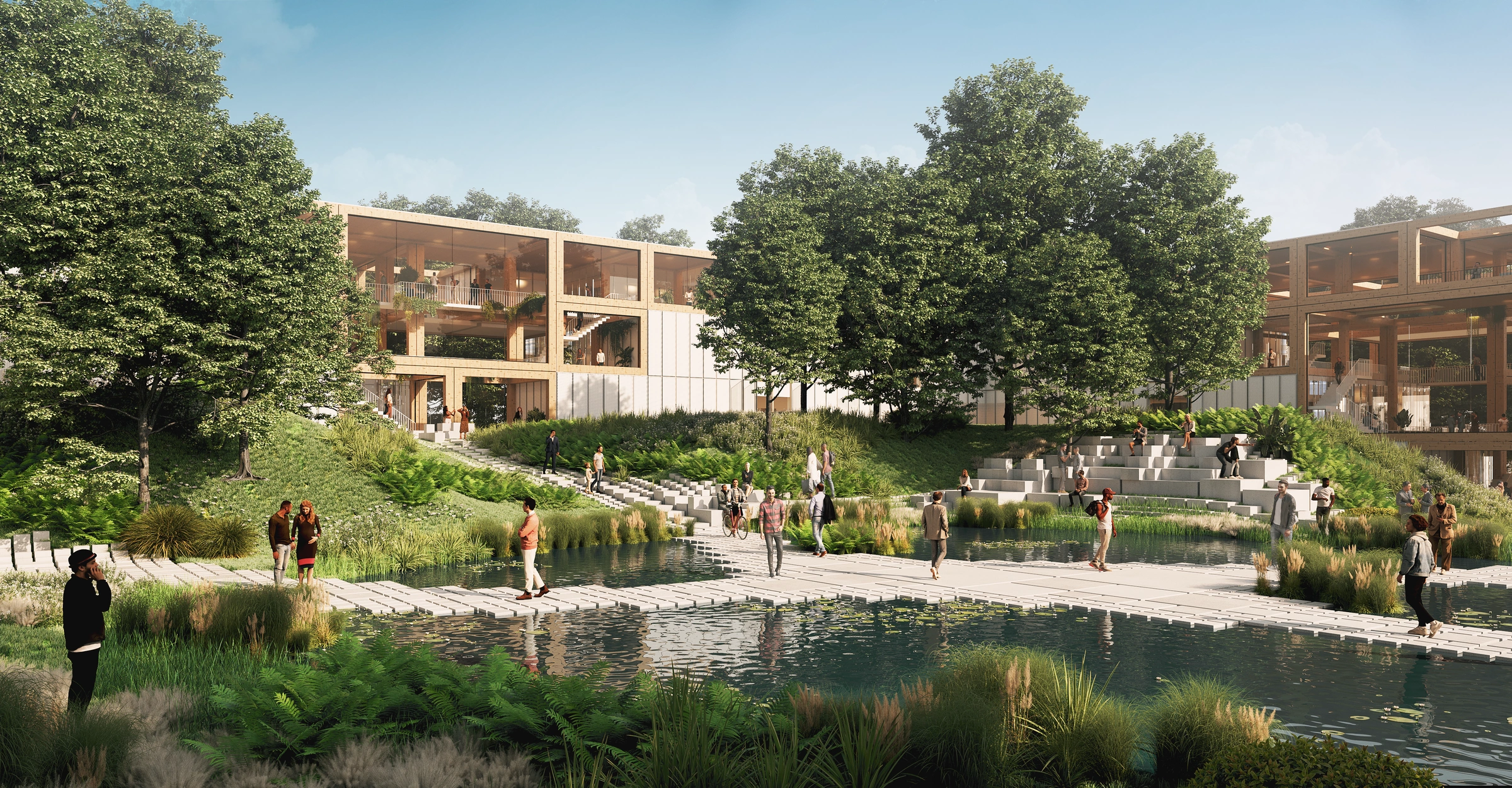 Planted university courtyard with terraces, stepped seating and a water garden.
