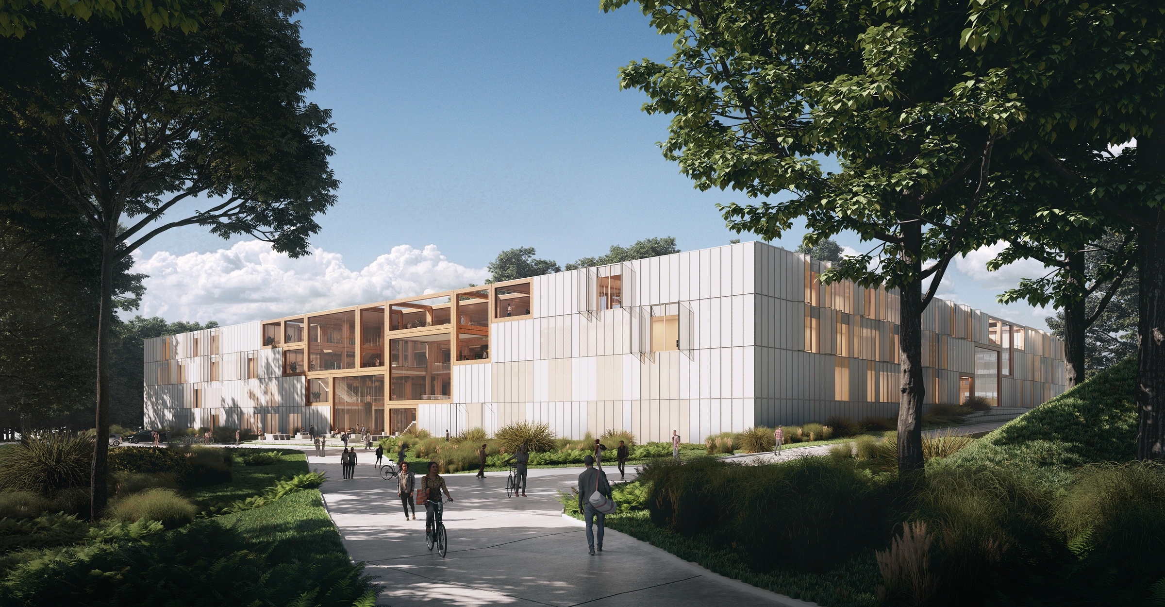 University approach through trees to a facade of translucent panels and open timber terraces.