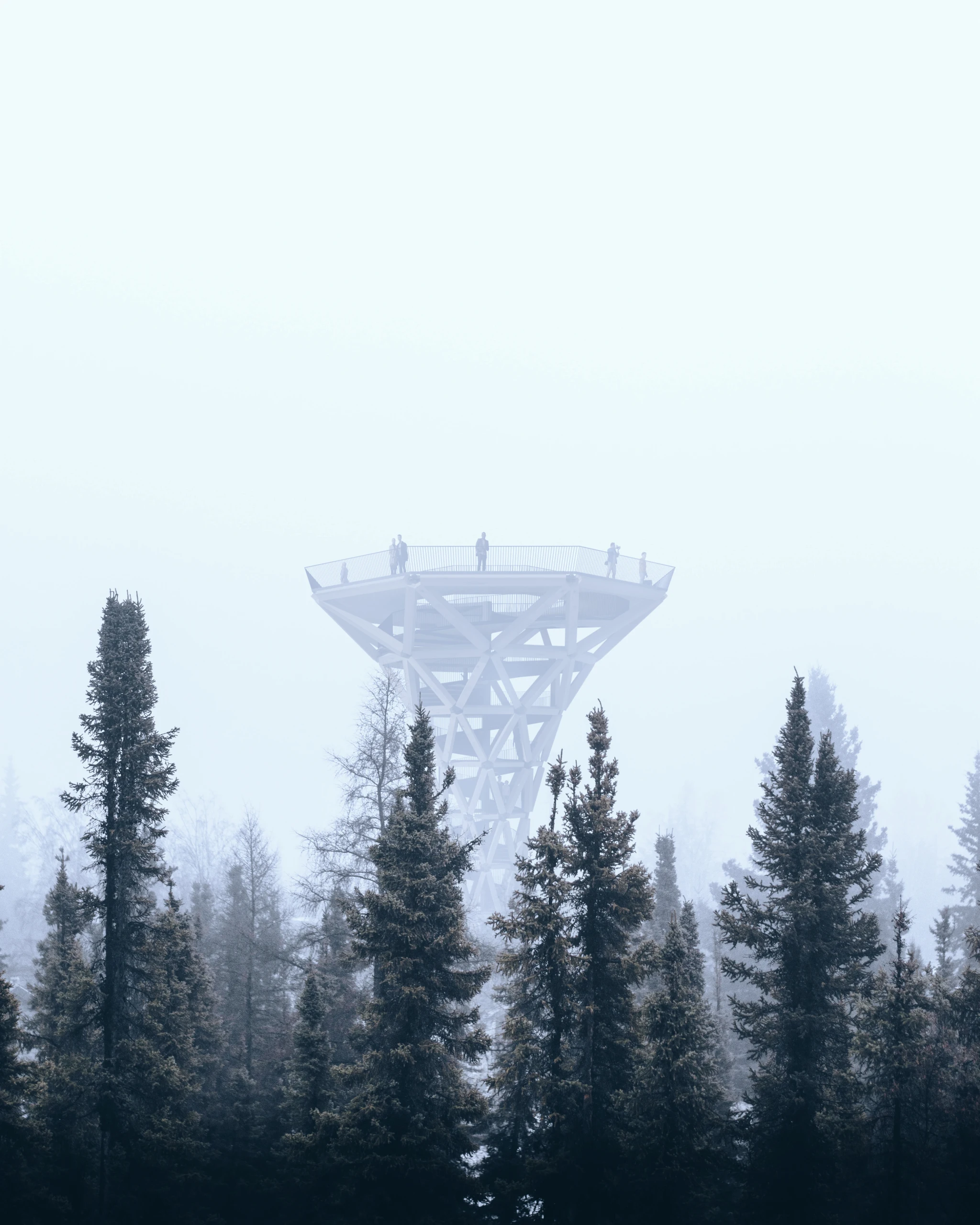 Misty view of the proposed timber observation tower rising above the Forest Restaurant treetops