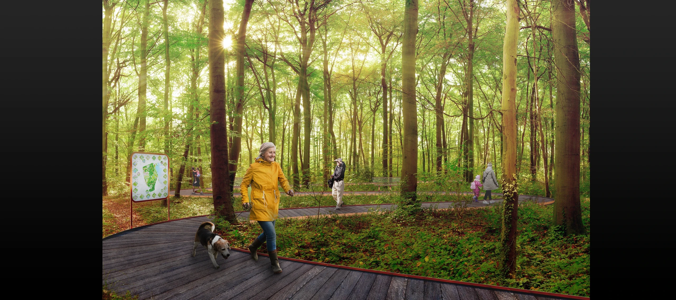 Proposed woodland boardwalk among existing mature trees