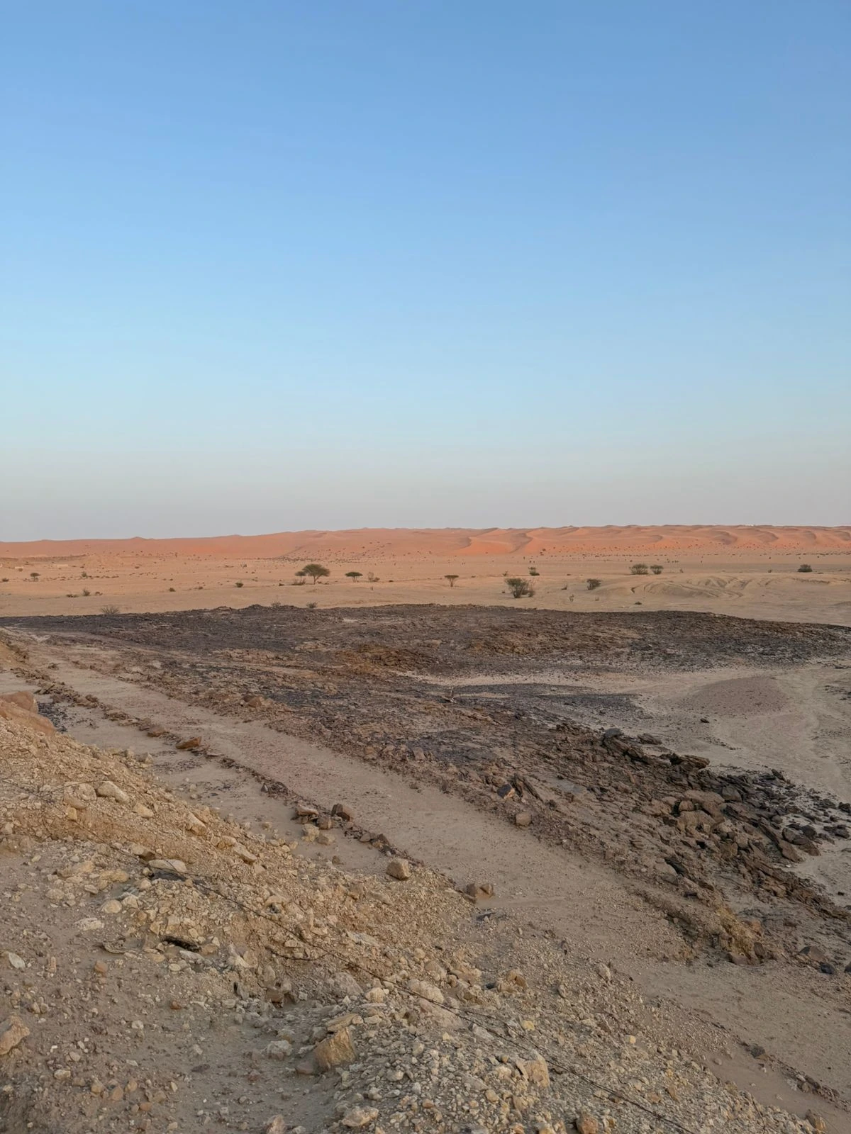 Rocky ground overlooking trees and distant dunes