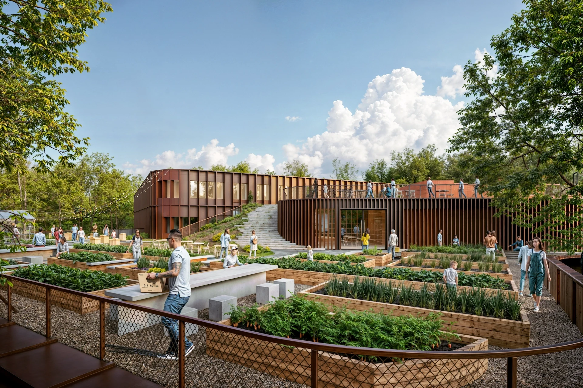 The Forest Nexus: A School for Shared Life — image 2