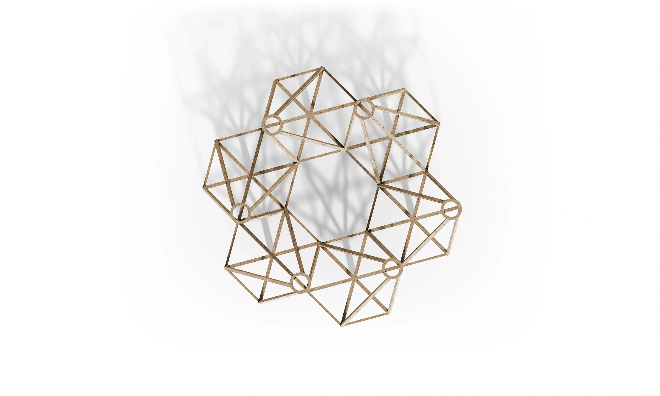 The rhythm of the timber framework — complete structural plan.