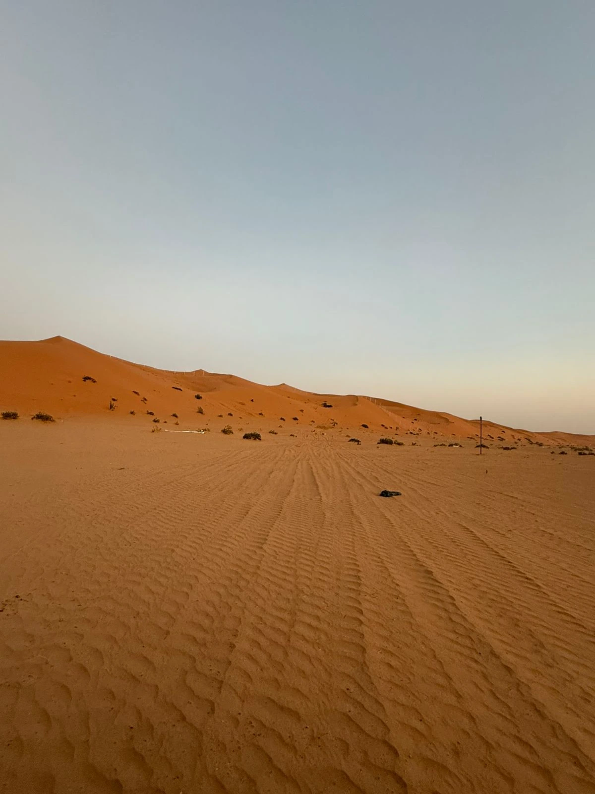 Rippling sand leading towards an orange dune