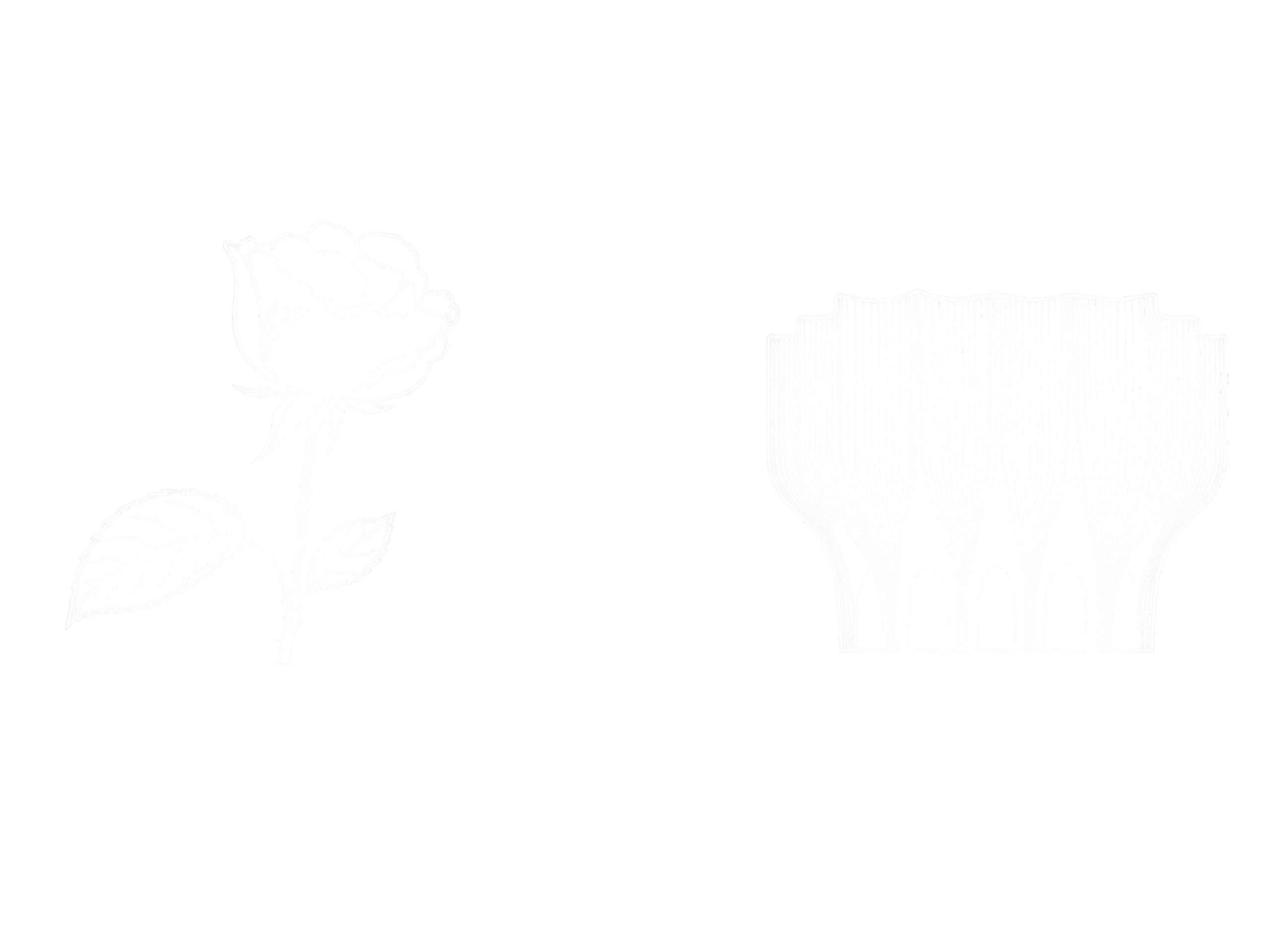 The Rose as Architectural Veil