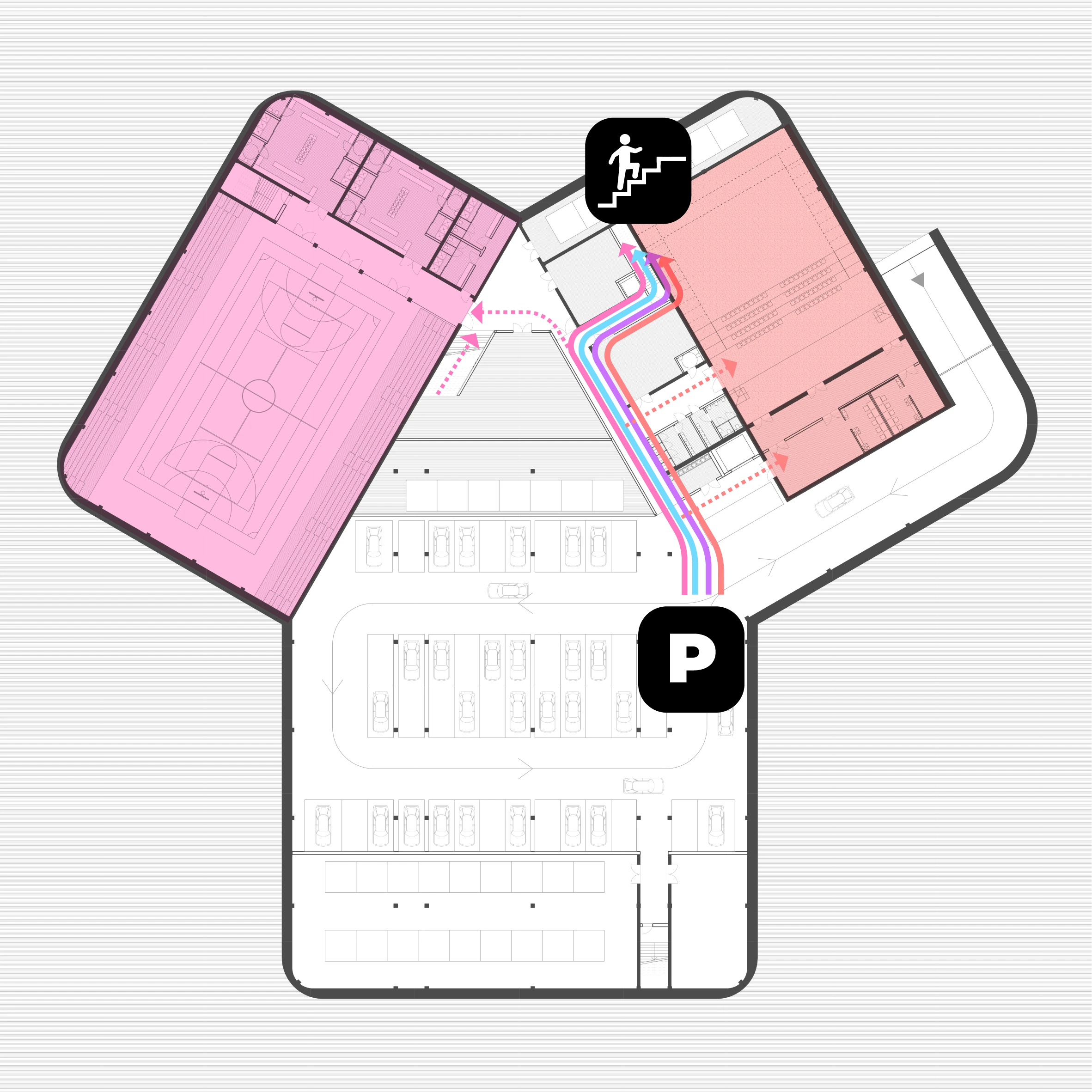 Complete basement access and programme diagram for the Forest Nexus, retaining coloured routes and activity symbols