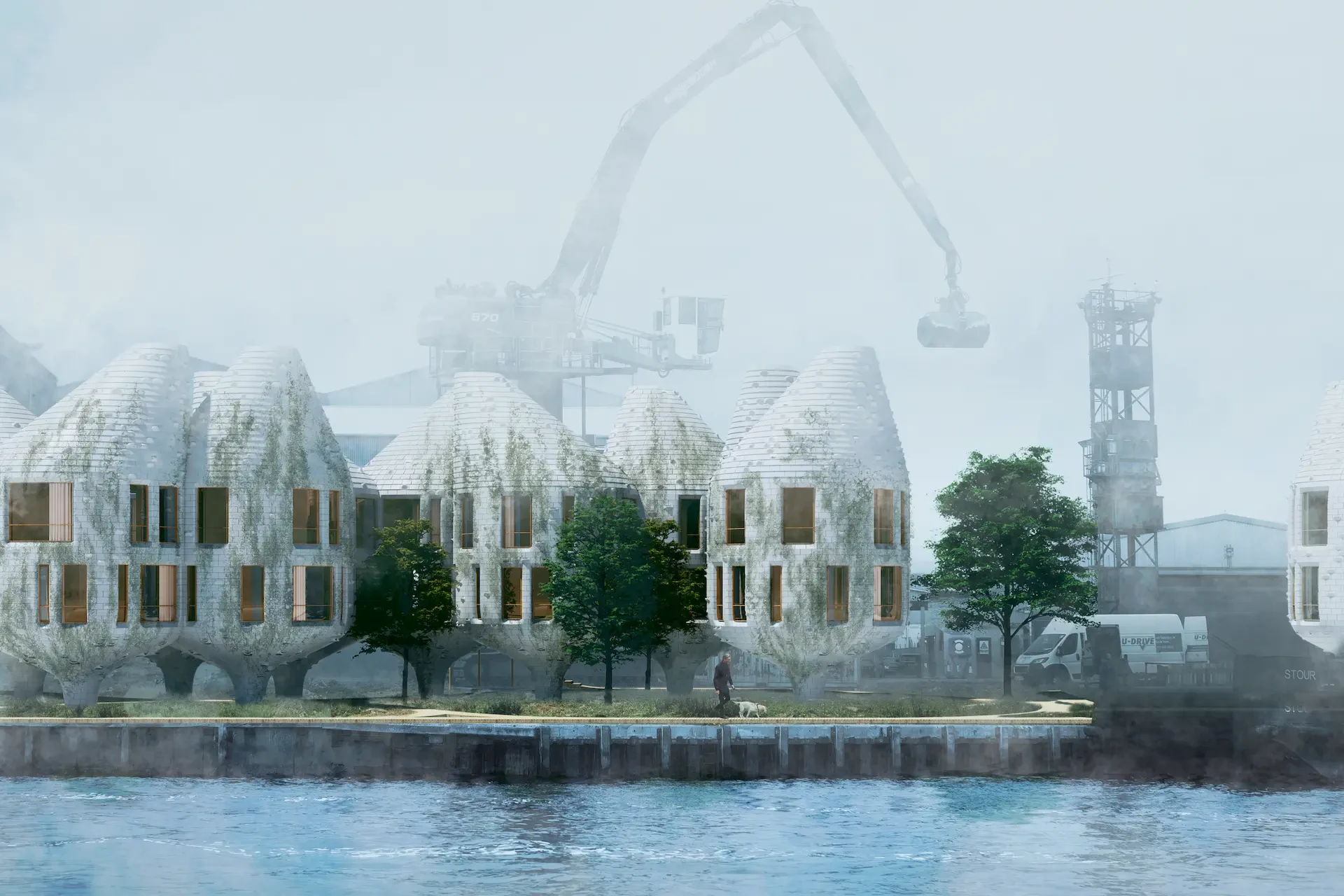 The project