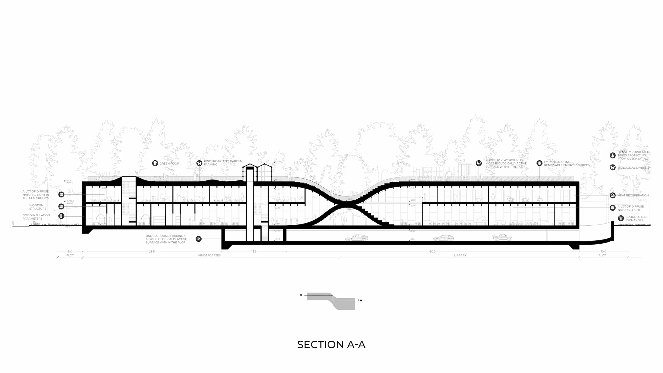 Lateral Section