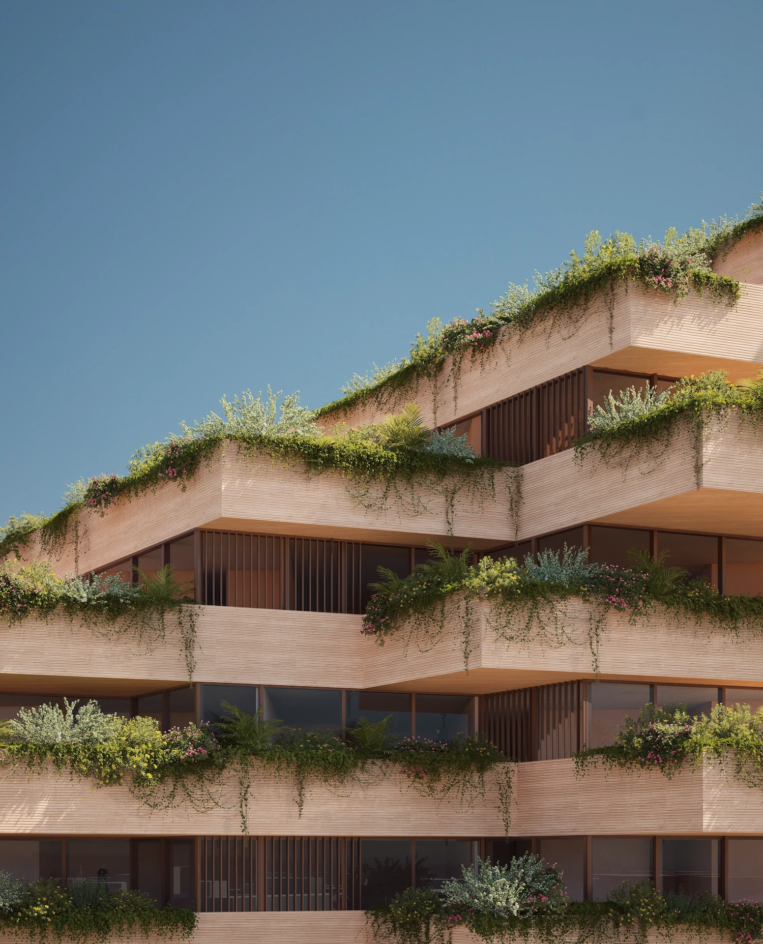 Terraces Detail