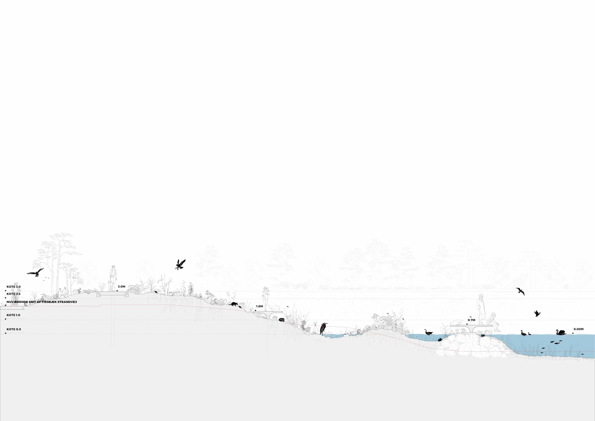 Water Front Section