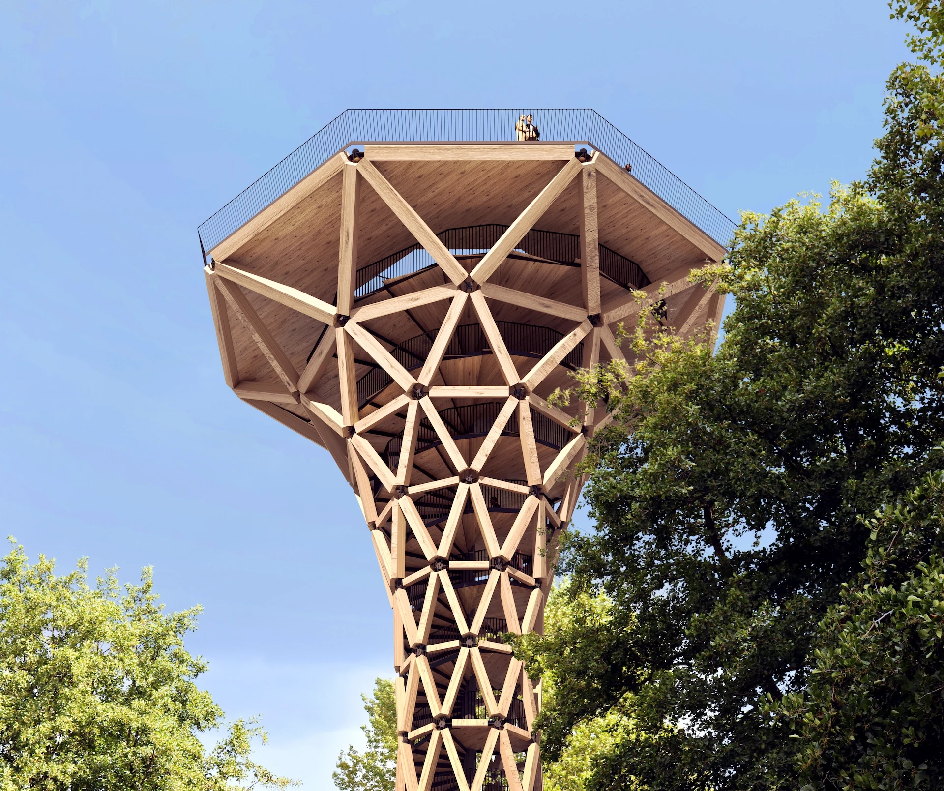 Forest Restaurant