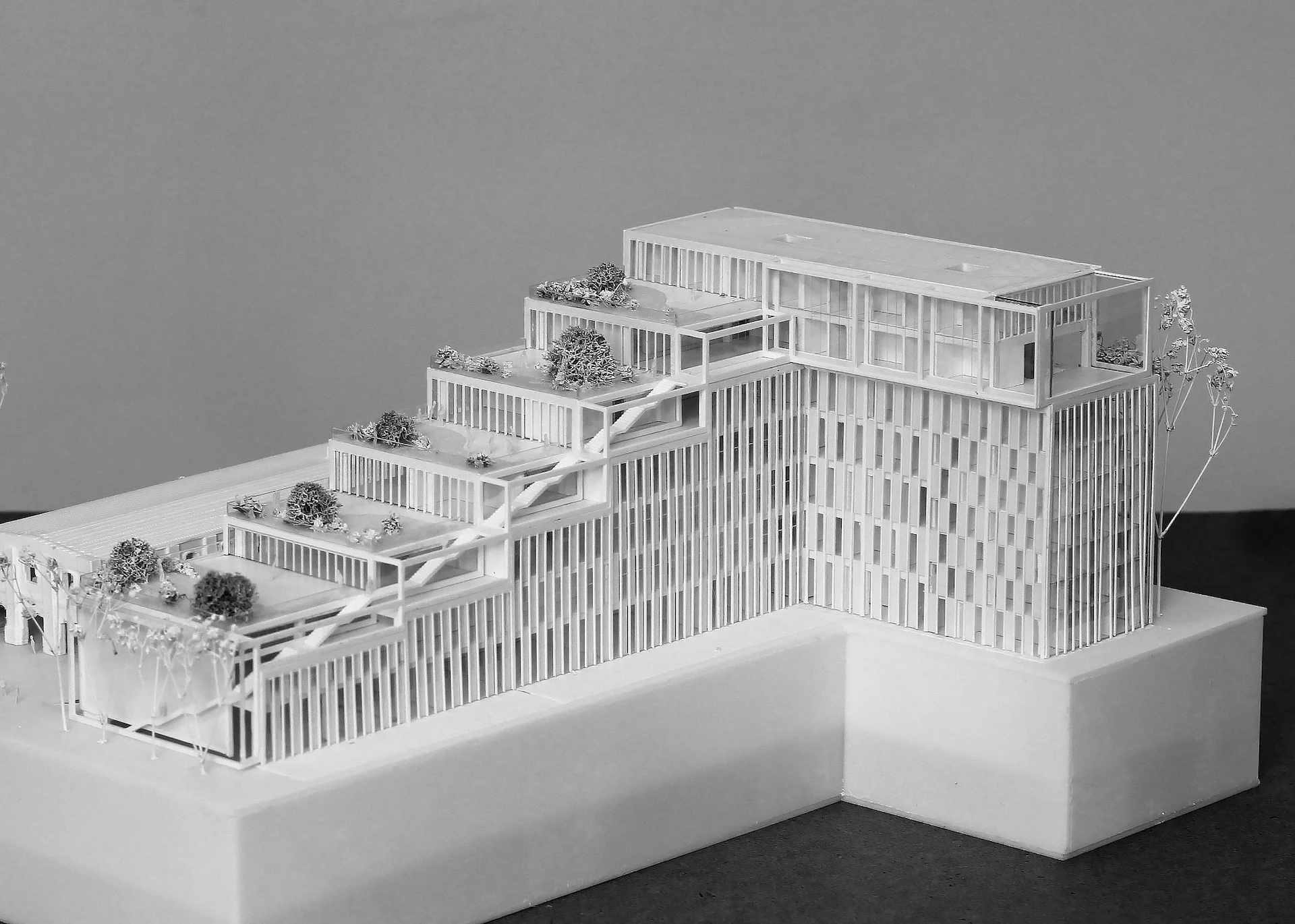 Model