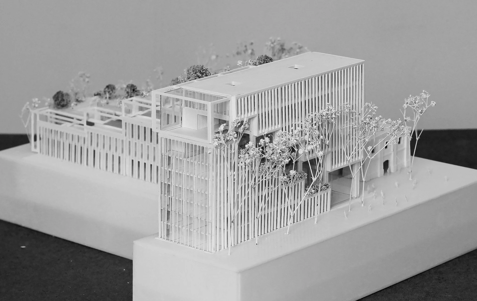 Model