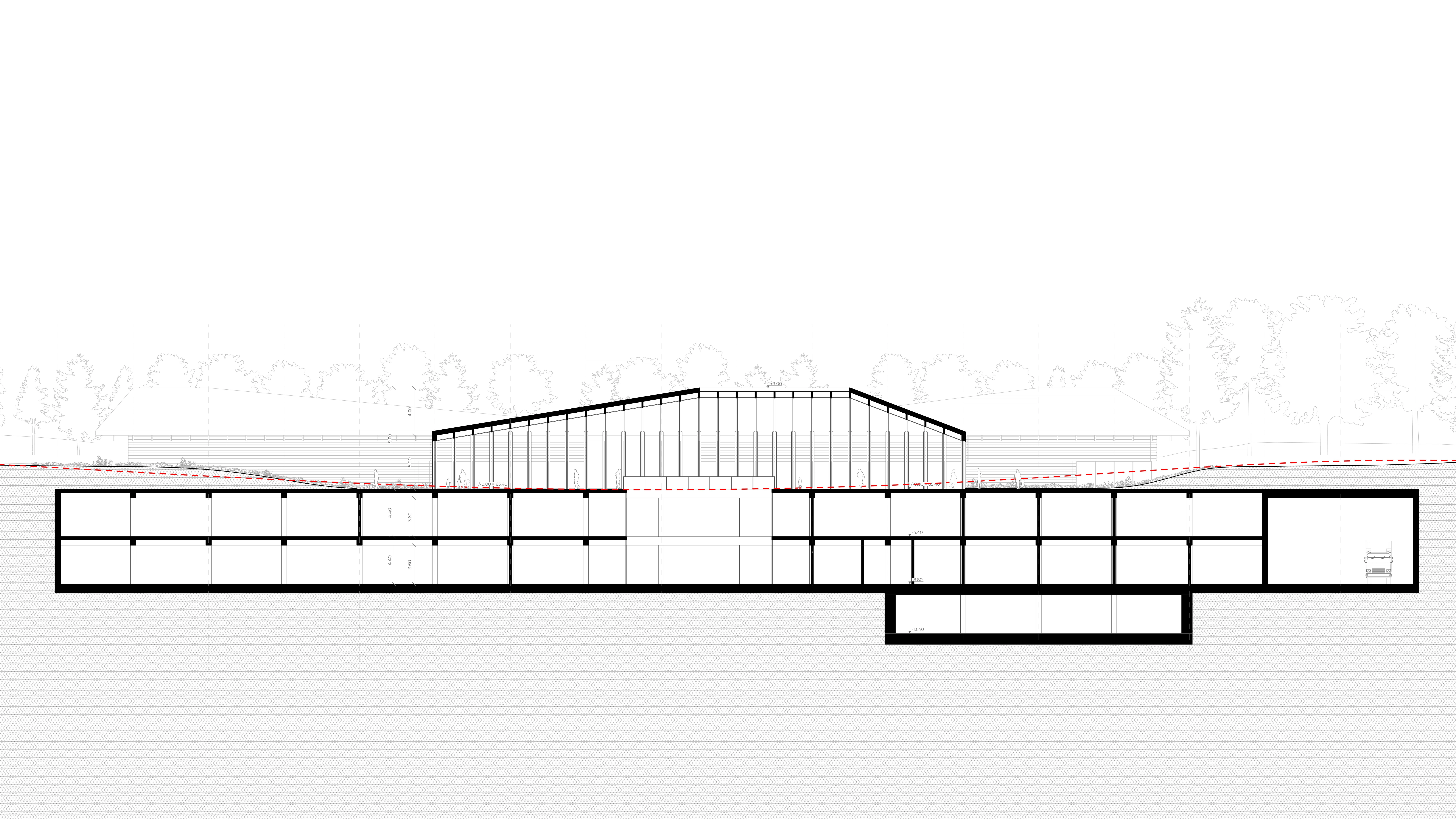 Representative Section